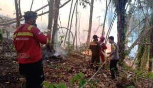 IMG-20260816-WA0026